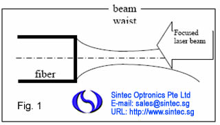 fiber2.jpg